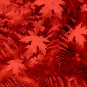 Large Shades of Poppy Red Ferns and Maples Sunprints