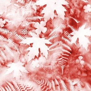 Large Shades of Poppy Red and White Ferns and Maples Sunprints