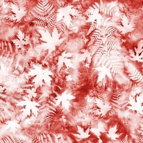 Medium Shades of Poppy Red and White Ferns and Maples Sunprints