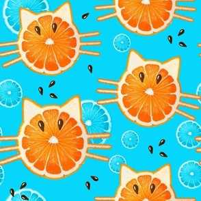 Funny Orange Cats