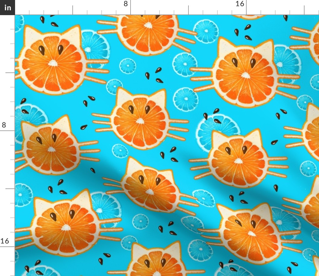 Funny Orange Cats