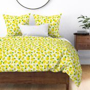 Large Scale Lemons on Soft Yellow Checkers