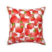 Large Scale Apples on Soft Red and White Checkers