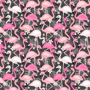 Flamingo flowers and monstera leaves - tropical summer animals and jungle leaves pink blush on charcoal gray
