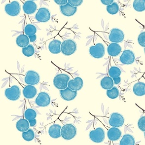 Lychee_Fruits_blue