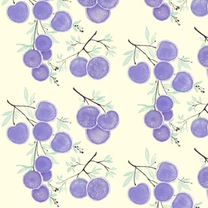 Lychee_Fruits_purple