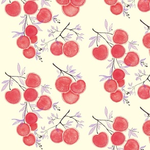 Lychee_Fruits_red