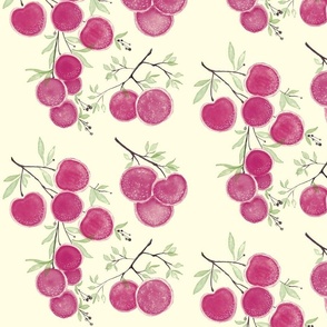Lychee_Fruits_plum