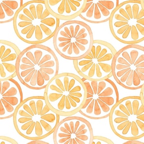 Watercolor Citrus Fruit in Yellow and Orange