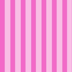 Dark Pink and Light Pink Vertical Candy Stripe 