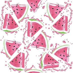 Splash watermelon 18x18