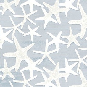 12" Starfish Toss Light Sky Blue Rustic Wood by Audrey Jeanne