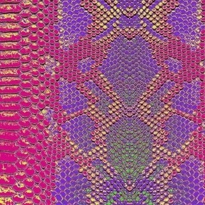 Fuchsia Python