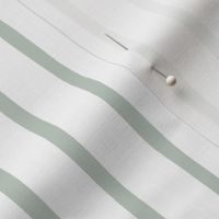 Pencil  Hand Drawn Stripe in Greyish Green Pistachio Sage Sea Green