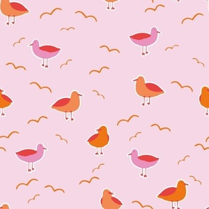 Medium coastal seagulls in pink and orange for girls swimwear and beach accessories