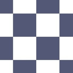 Medium coastal checker in classic blue and white for swimwear, beach and accessories