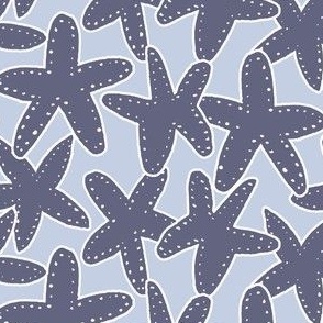 medium gender neutral starfish in pastel and dark blue, trans seasonal coastal for boys and girls