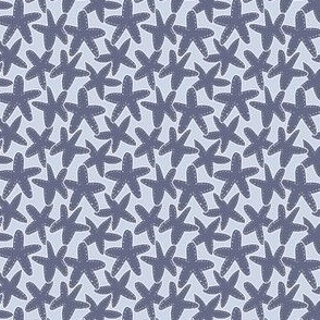 Tiny  gender neutral starfish in pastel and dark blue, trans seasonal coastal for boys and girls