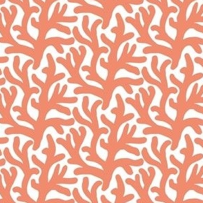 Small coral in bright tangerine orange, summer coastal for girls apparel and beach accessories