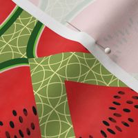 watermelon slice stripe green