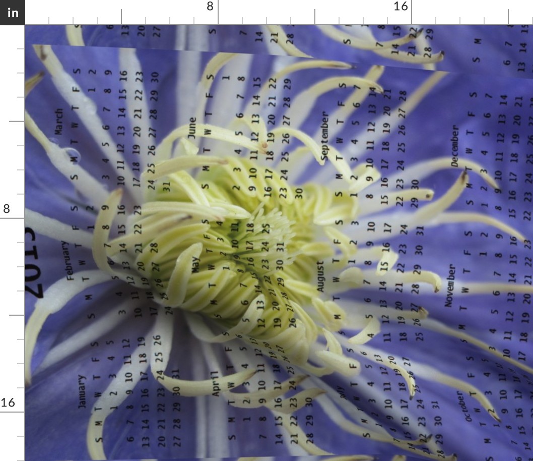 2013 Calendar -Flowers - Blue & White Spider Chrysanthemums