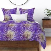 2013 Calendar - Flowers - Purple Spider Chrysanthemums