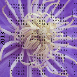2013 Calendar - Flowers - Purple Spider Chrysanthemums