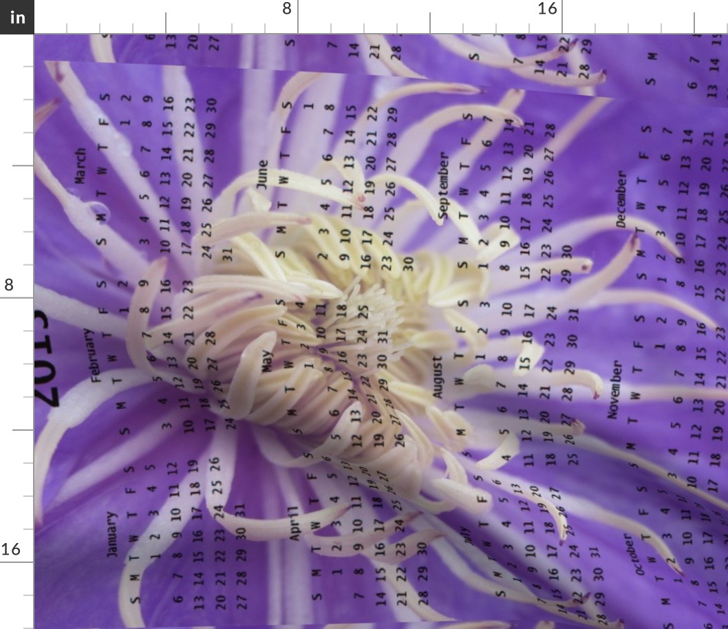 2013 Calendar - Flowers - Purple Spider Chrysanthemums