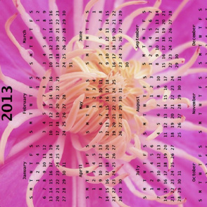2013 Calendar - Flowers - Pink Spider Chrysanthemums
