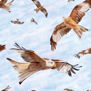 Birds of Prey Watercolour Red Kite No AI large scale 12 inch