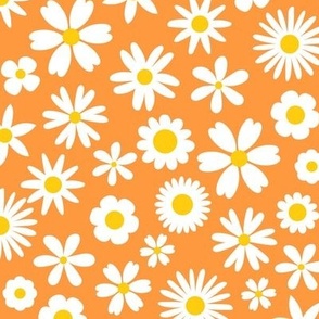 Dapper Daisies Orange Very Small