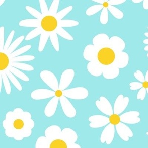 Dapper Daisies Aqua Small