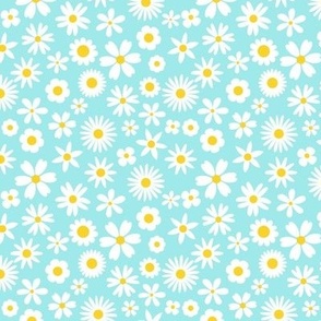 Dapper Daisies Aqua Tiny