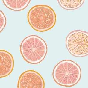 Grapefruit slices on light blue background 10.4"