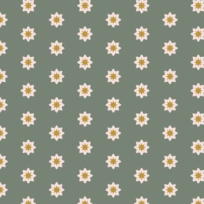 Geometric Flowers Shapes in Sage Green