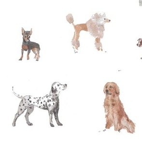 dogs in watercolor on white