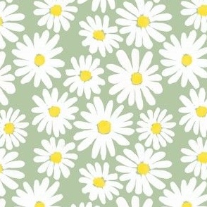 Daisies: Sage