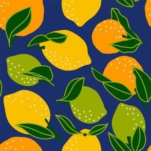 Citrus Fruit-Navy