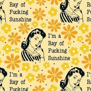 Medium Scale Sassy Ladies I'm a Ray of Fucking Sunshine Yellow Sarcastic Sweary Adult Humor Floral