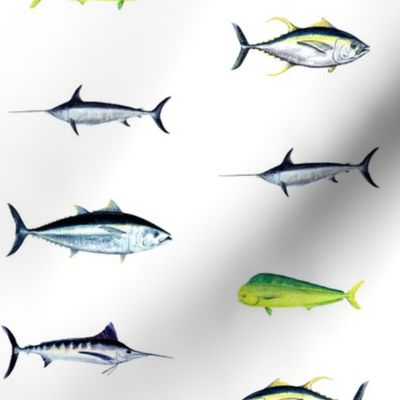 SPORTFISH:   Marlin, Tuna, Mahi, Wahoo, Swordfish [Bright White]