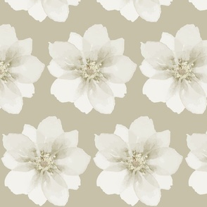 Anemone in Neutral 