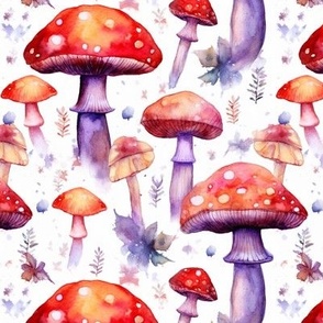 Enchanting Forest Fungi 