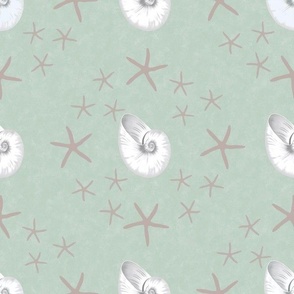Nautilus & Starfish - Large - Mint