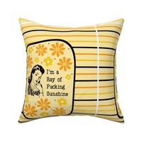 14x18 Panel Sassy Ladies I'm a Ray of Fucking Sunshine Yellow for DIY Garden Flag Small Wall Hanging or Tea Towel