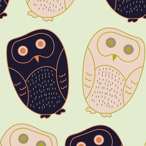 owl design on light green background