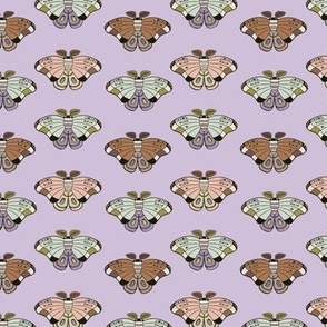 Moths - Purple