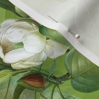 14" Lush Luxury And Elegant Antique Magnolia Flowers - vintage home decor, antiqued wallpaper ,Magnolias Fabric  And  Wallpaper  - green double layer