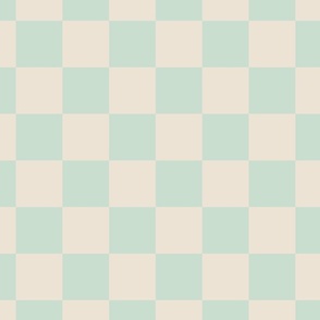 Checkers - Mint Green and Cream