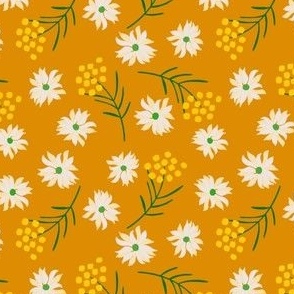 Flannel Flowers and Wattle - Australian Flowers on Orange