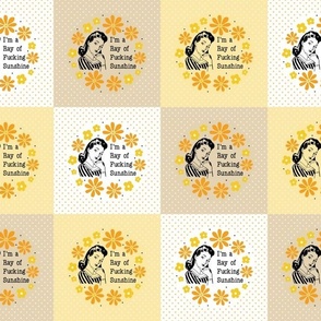 Sassy Ladies 4x4 Patchwork Cheater Quilt Squares Peel and Stick Wallpaper Swatch Stickers Patches Small Crafts I'm a Ray of Fucking Sunshine